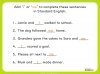 Confusing Words in Standard English - Years 3 and 4 Teaching Resources (slide 8/24)